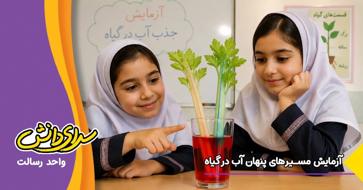 آزمایش مسیرهای پنهان آب در گیاه - واحد رسالت