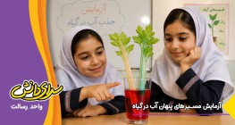 آزمایش مسیرهای پنهان آب در گیاه - واحد رسالت