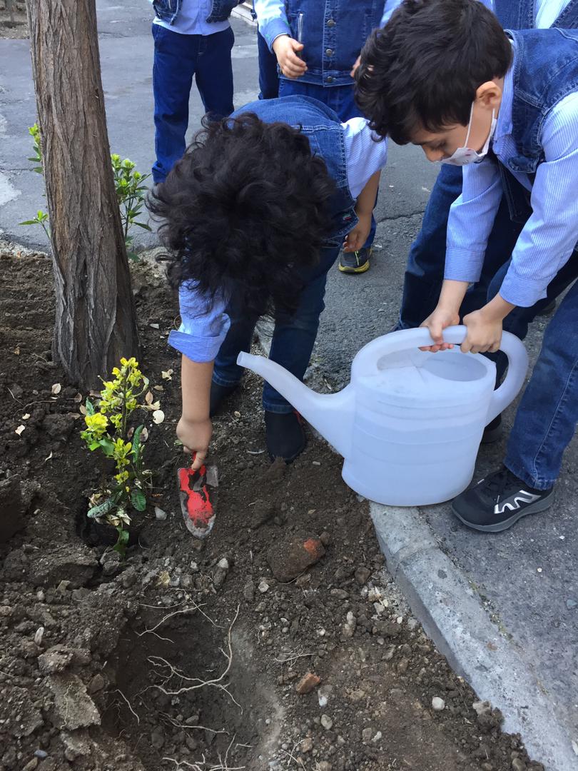 کاشت نهال به مناسبت روز درختکاری🌱🌱🌱🌱