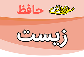 سوال-و-کلید-پایان-ترم-نیمسال-اول-زیست یازدهم-تجربی-سرای-دانش-حافظ-دی-ماه-1404